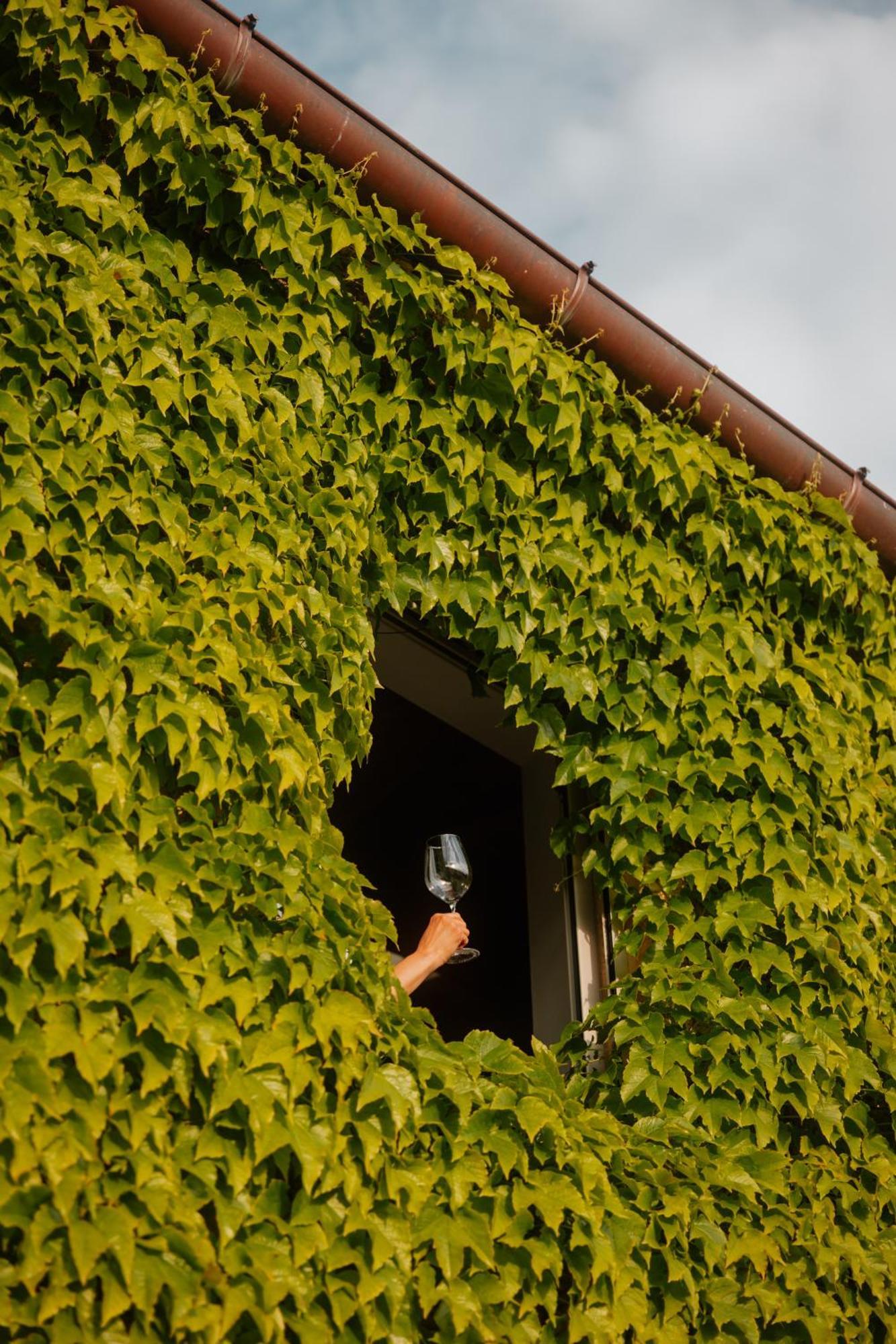 Villa Podere La Piscina Restart San Casciano dei Bagni